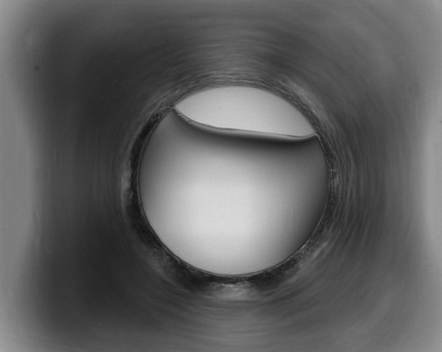 X0000100320548200806051352