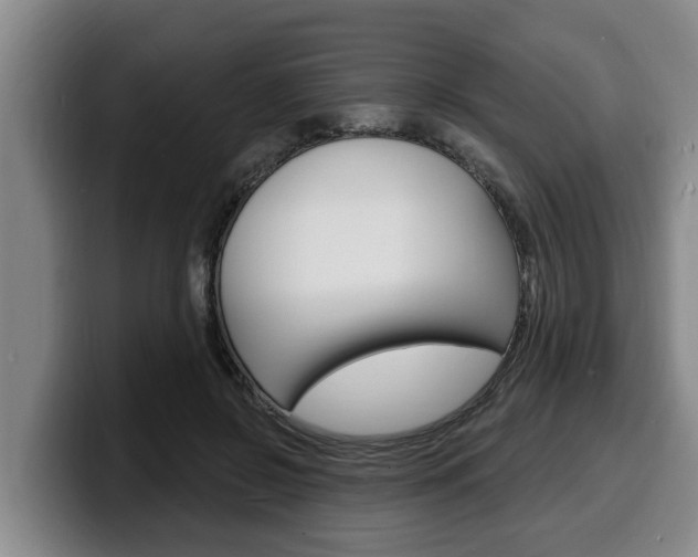 X0000100320550200806051352