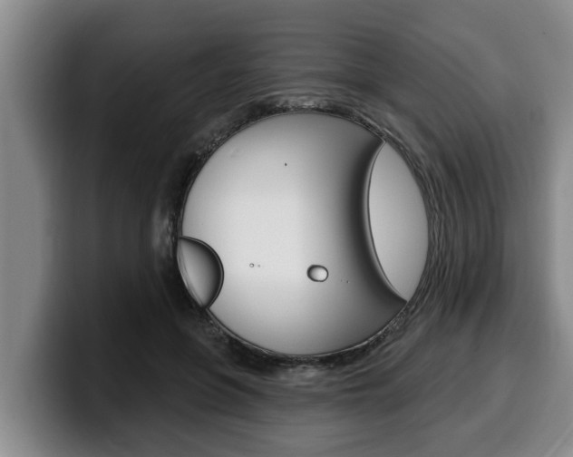 X0000100320551200806051352