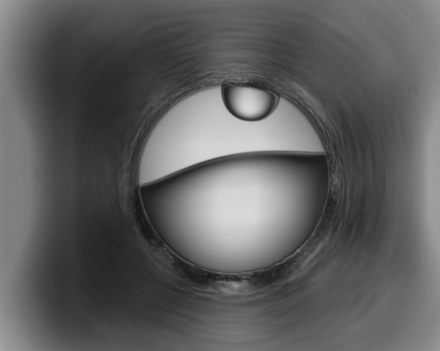X0000100320552200806051352