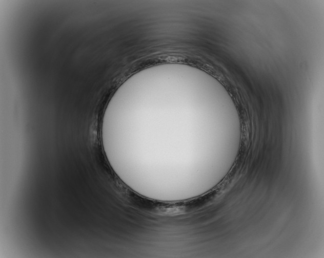 X0000100320553200806051352