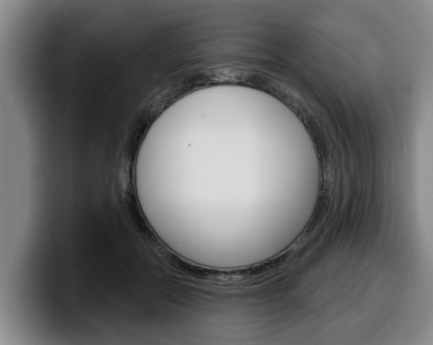 X0000100320554200806051352