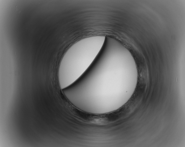 X0000100320555200806051352