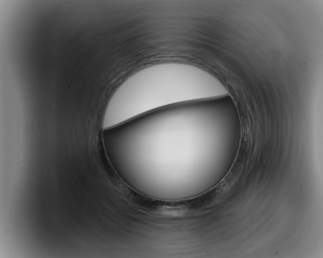 X0000100320556200806051352