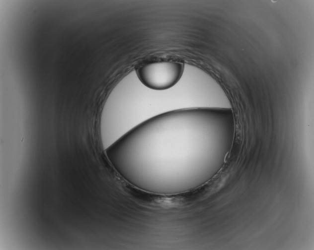 X0000100320558200806051352