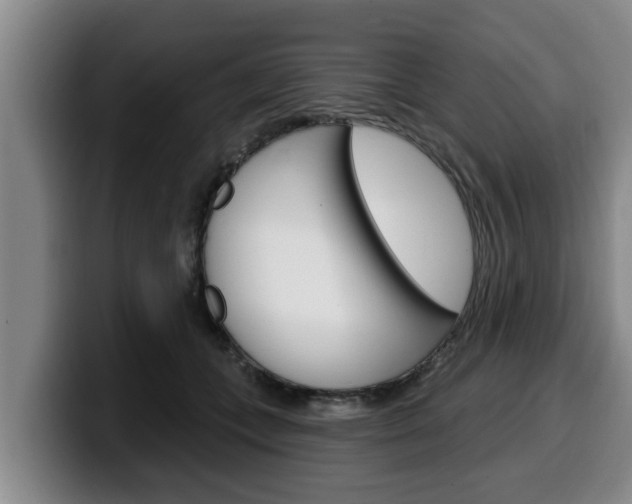 X0000100320559200806051352