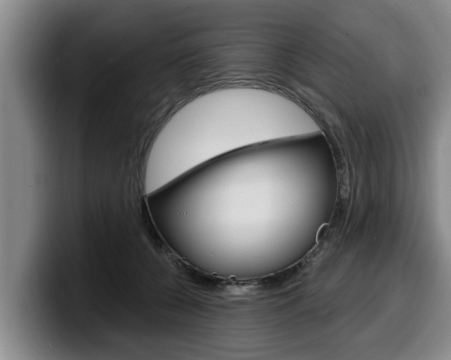 X0000100320560200806051352