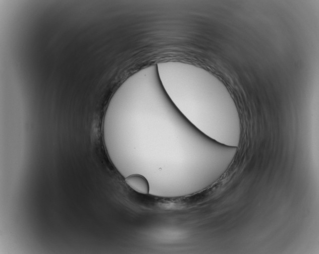 X0000100320561200806051352