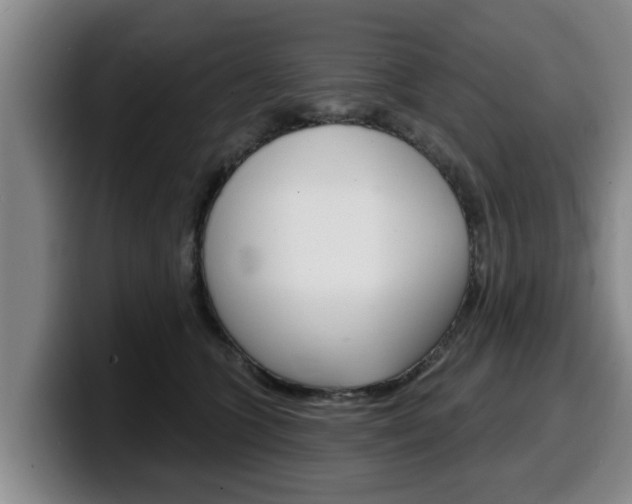 X0000100320563200806051352