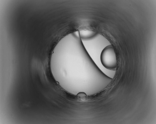X0000100320565200806051352
