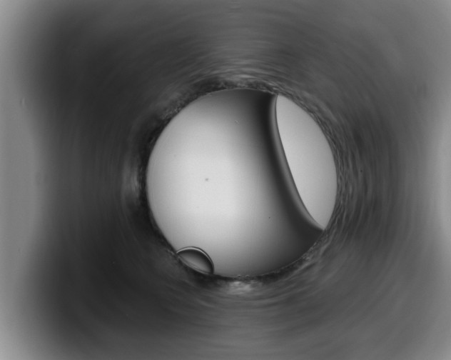 X0000100320566200806051352