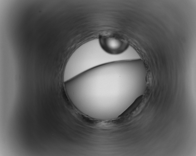 X0000100320568200806051352
