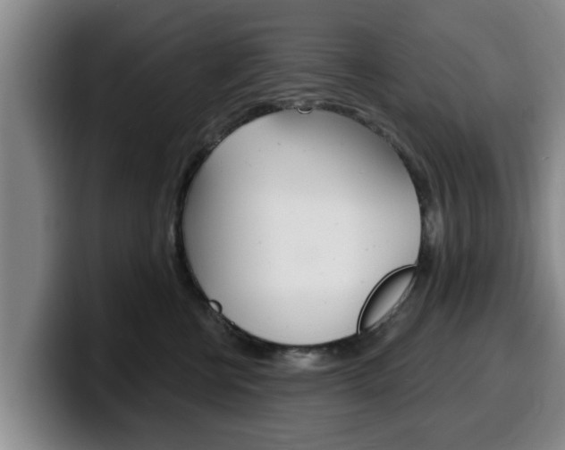 X0000100320570200806051352