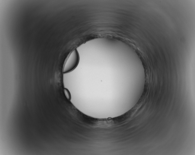 X0000100320571200806051352