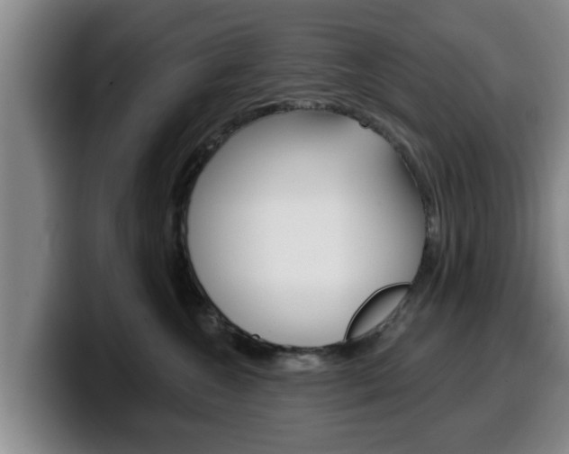 X0000100320572200806051352