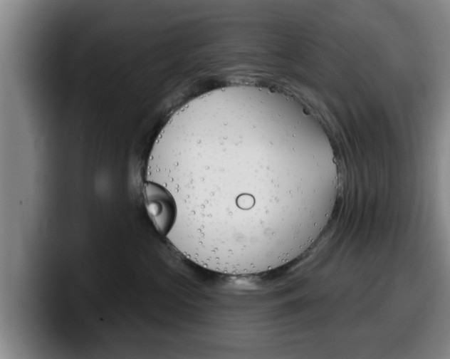X0000100320573200806051352