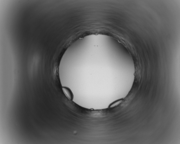 X0000100320574200806051352