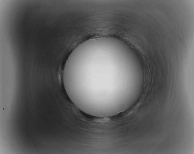 X0000100320576200806051352