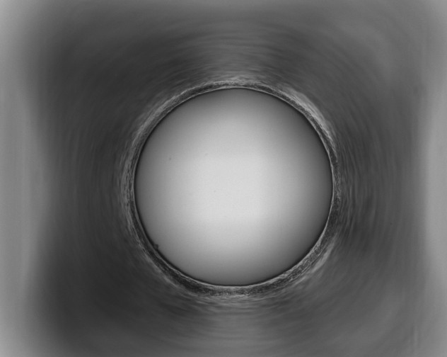 X0000100320577200806051351