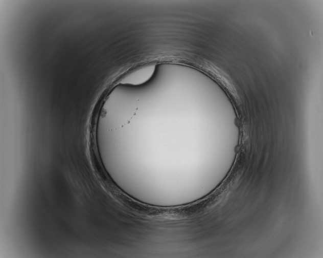 X0000100320578200806051351