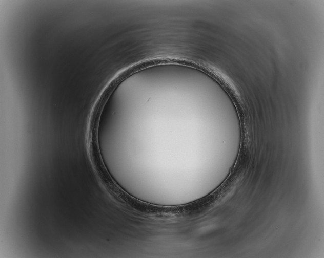 X0000100320580200806051351