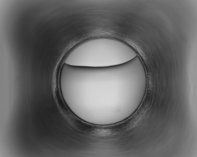 X0000100320582200806051351
