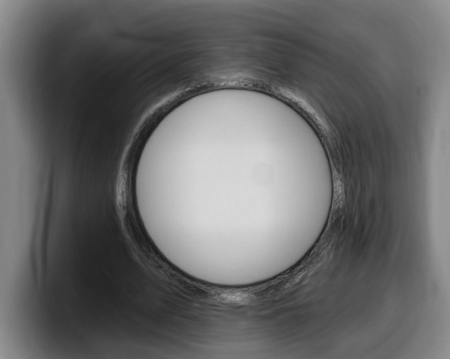 X0000100320583200806051351
