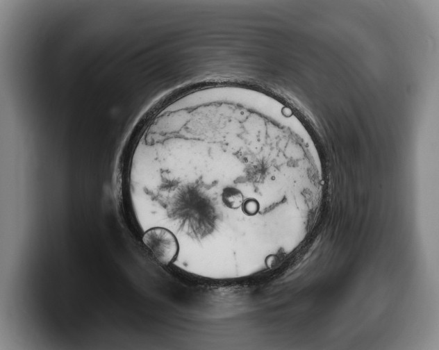 X0000100320584200806051351