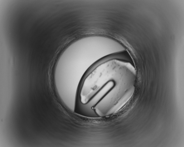 X0000100320585200806051351