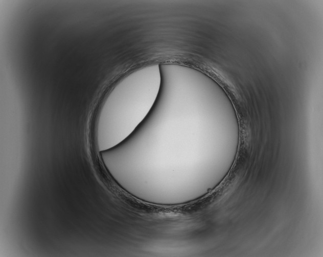 X0000100320586200806051351