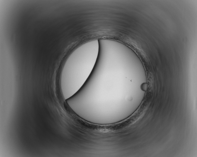 X0000100320590200806051351