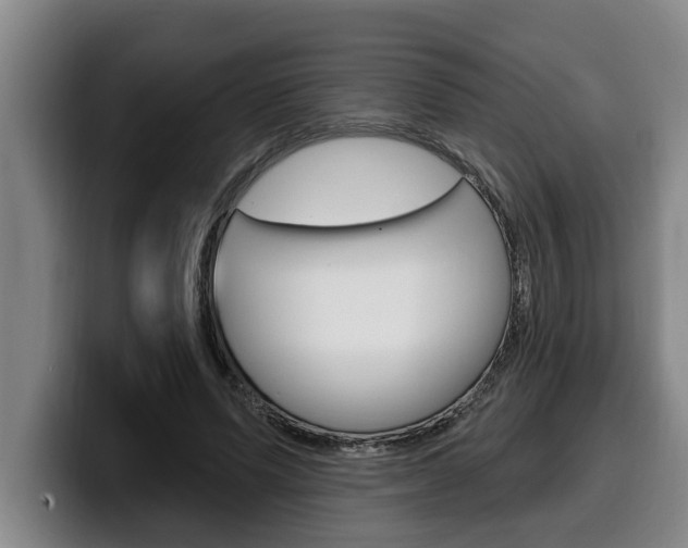 X0000100320591200806051351
