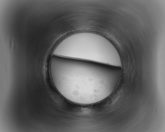 X0000100320592200806051351