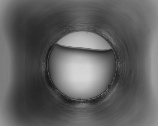 X0000100320593200806051351