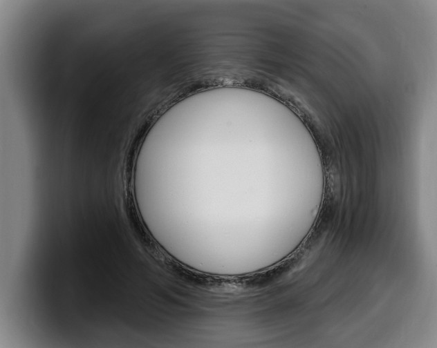 X0000100320594200806051351