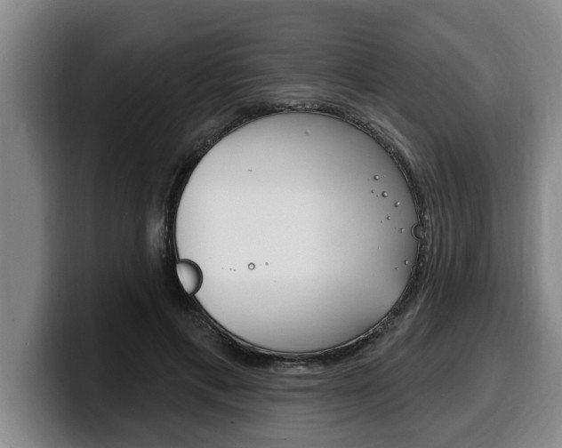 X0000100320597200806051351
