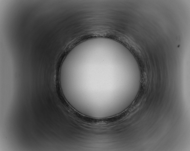 X0000100320600200806051351