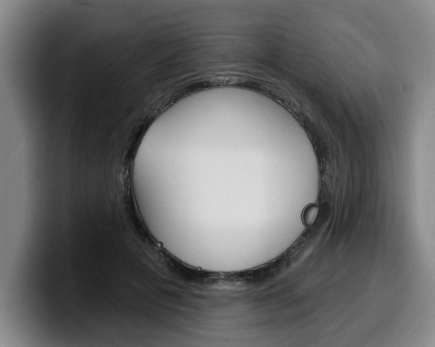 X0000100320601200806051351