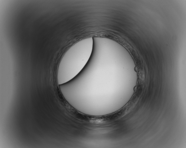 X0000100320602200806051351