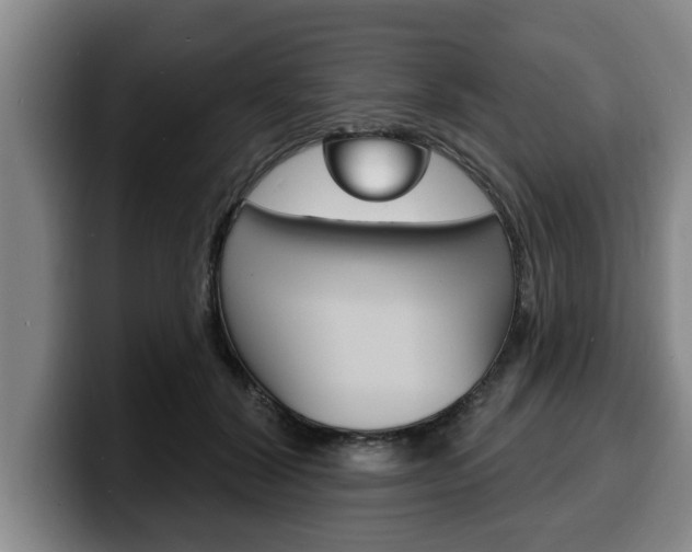 X0000100320604200806051351