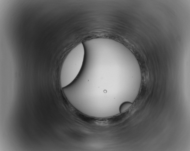 X0000100320606200806051351