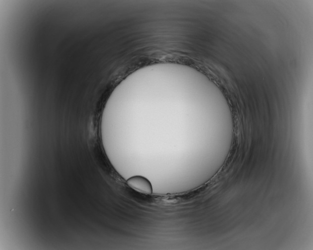 X0000100320607200806051351