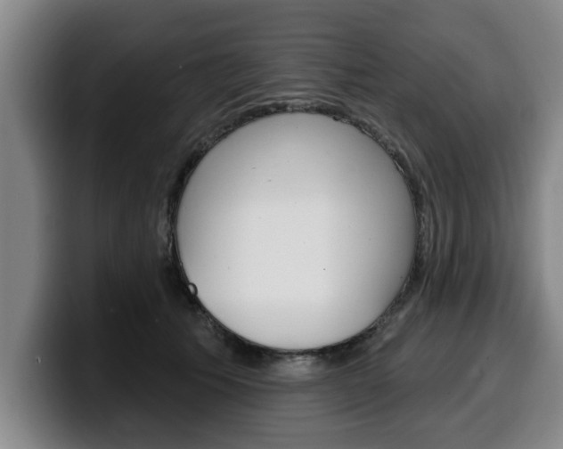 X0000100320609200806051351