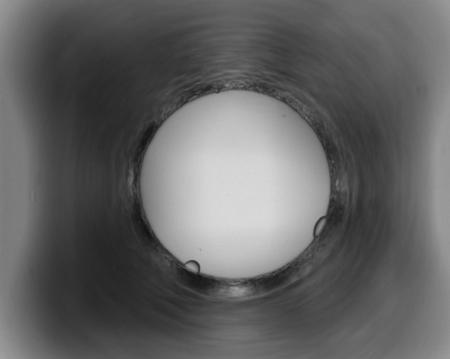 X0000100320610200806051351