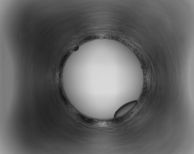 X0000100320611200806051351