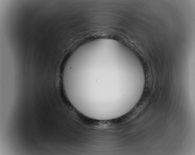 X0000100320612200806051351