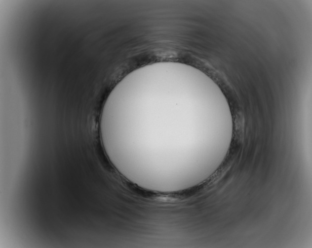 X0000100320614200806051351