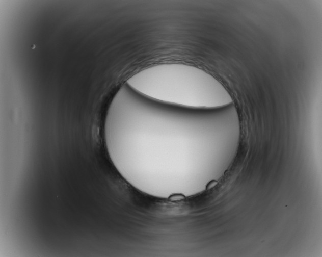 X0000100320615200806051351