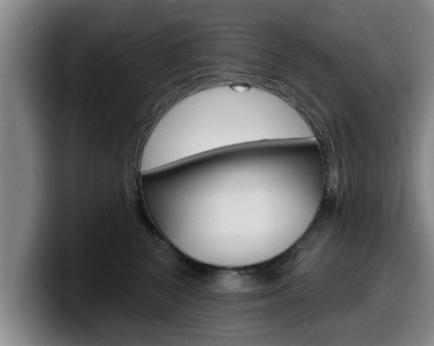 X0000100320616200806051351