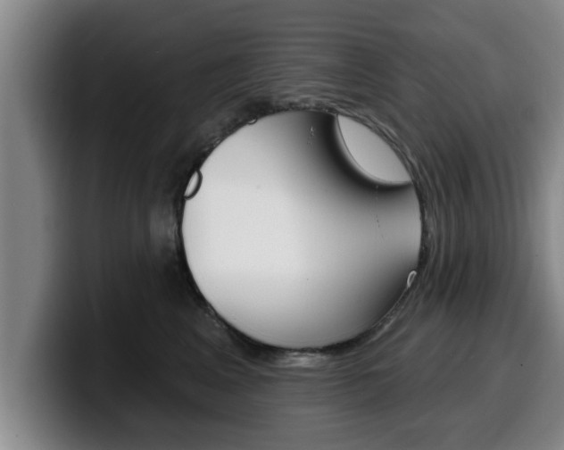 X0000100320617200806051351